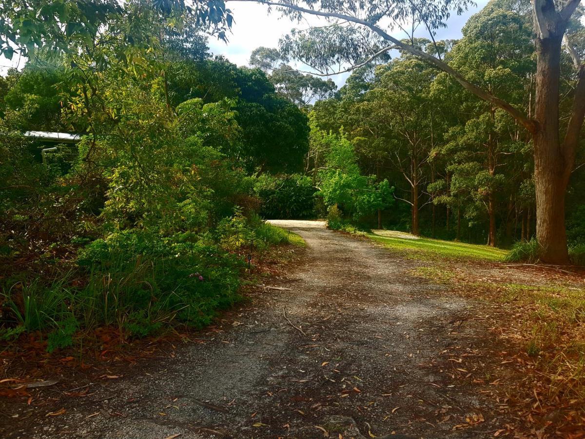 Forest View Bungalow Nambucca Heads Exterior foto